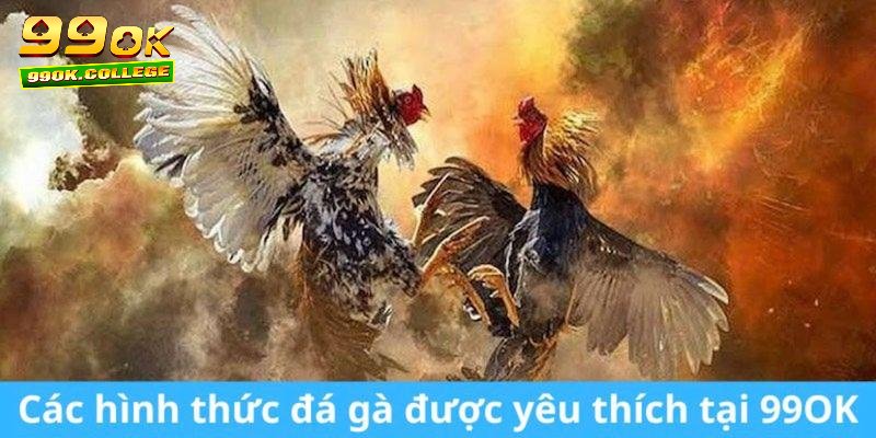 Trải nghiệm đá gà cựa sắt 99ok bet hấp dẫn