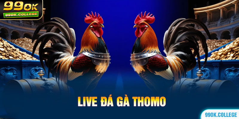 Live đá gà Thomo cực hấp dẫn