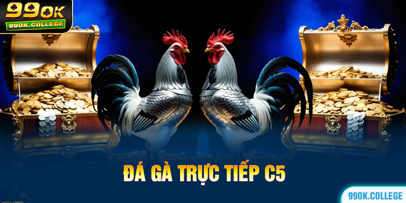 Đá gà C5 trực tiếp